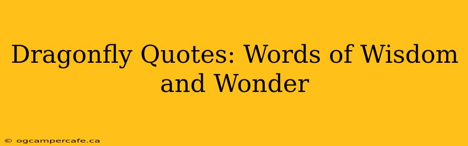Dragonfly Quotes: Words of Wisdom and Wonder