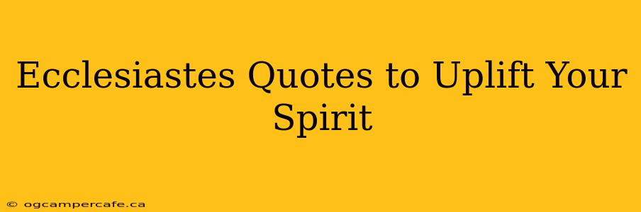 Ecclesiastes Quotes to Uplift Your Spirit