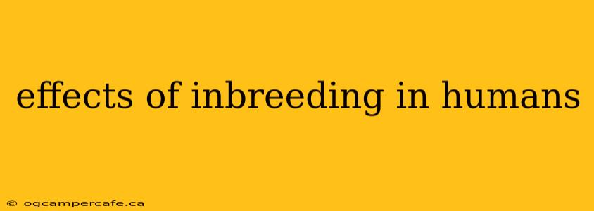 effects of inbreeding in humans