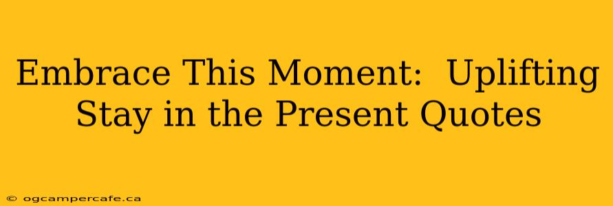 Embrace This Moment:  Uplifting Stay in the Present Quotes