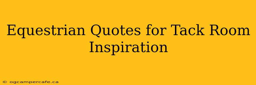 Equestrian Quotes for Tack Room Inspiration