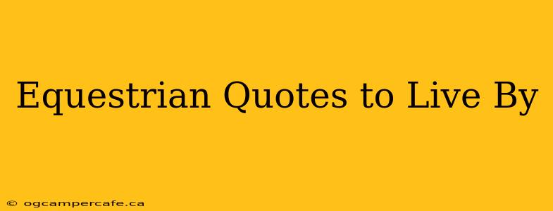Equestrian Quotes to Live By