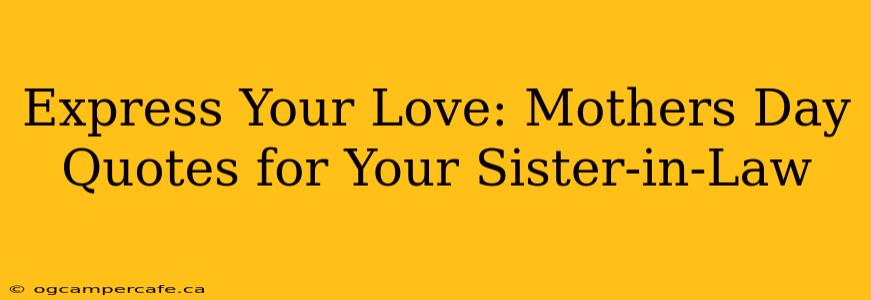 Express Your Love: Mothers Day Quotes for Your Sister-in-Law