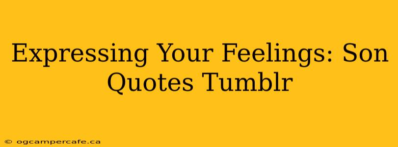 Expressing Your Feelings: Son Quotes Tumblr