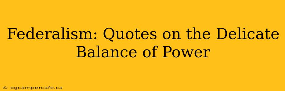 Federalism: Quotes on the Delicate Balance of Power