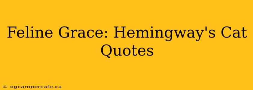 Feline Grace: Hemingway's Cat Quotes