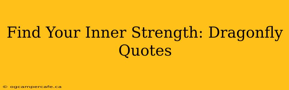 Find Your Inner Strength: Dragonfly Quotes