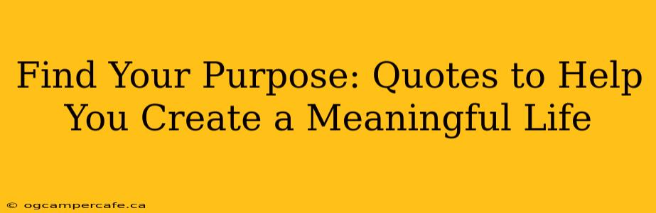 Find Your Purpose: Quotes to Help You Create a Meaningful Life