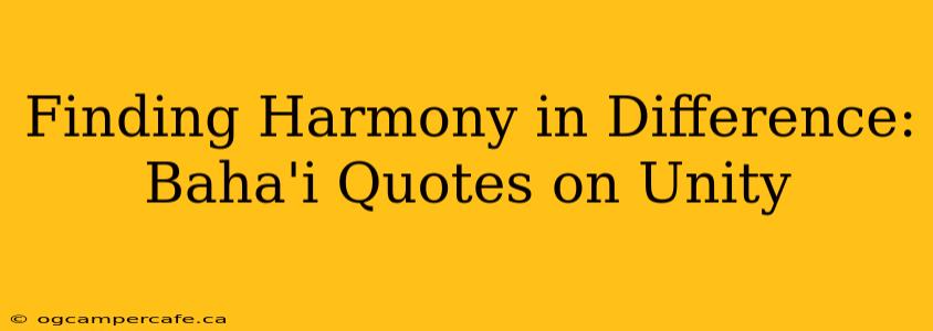 Finding Harmony in Difference: Baha'i Quotes on Unity