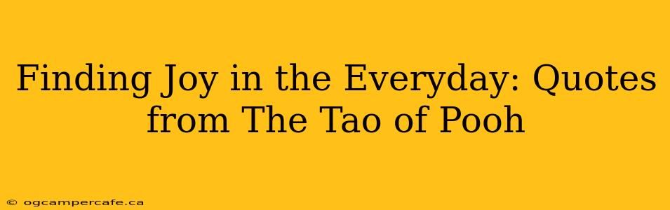 Finding Joy in the Everyday: Quotes from The Tao of Pooh