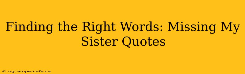 Finding the Right Words: Missing My Sister Quotes
