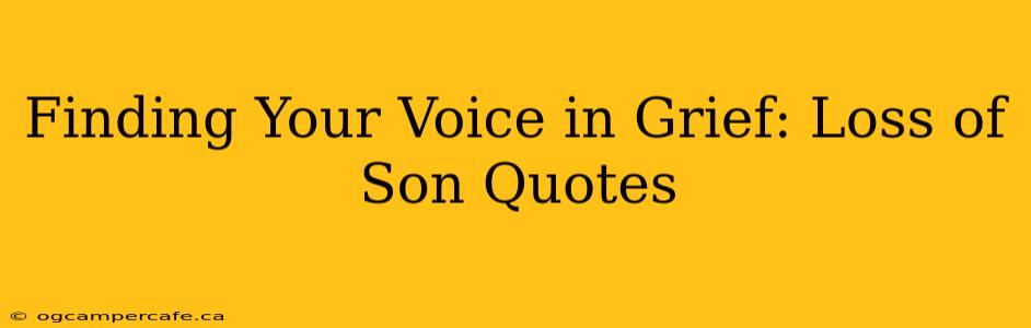 Finding Your Voice in Grief: Loss of Son Quotes