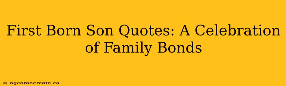 First Born Son Quotes: A Celebration of Family Bonds