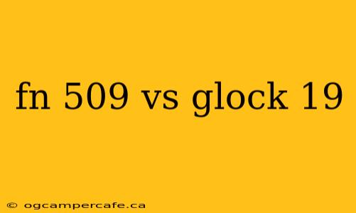 fn 509 vs glock 19