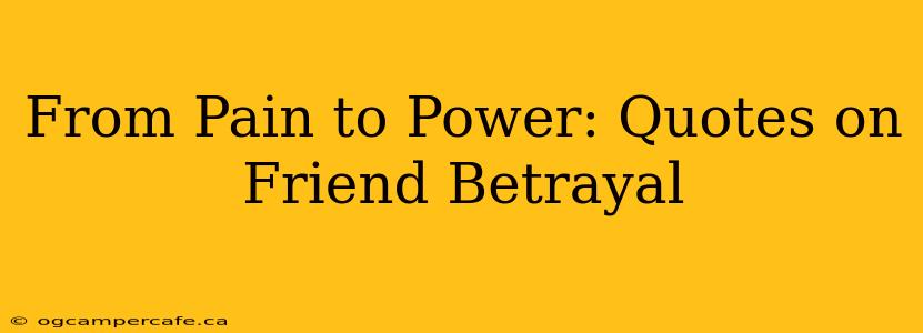 From Pain to Power: Quotes on Friend Betrayal
