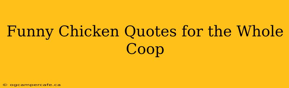 Funny Chicken Quotes for the Whole Coop