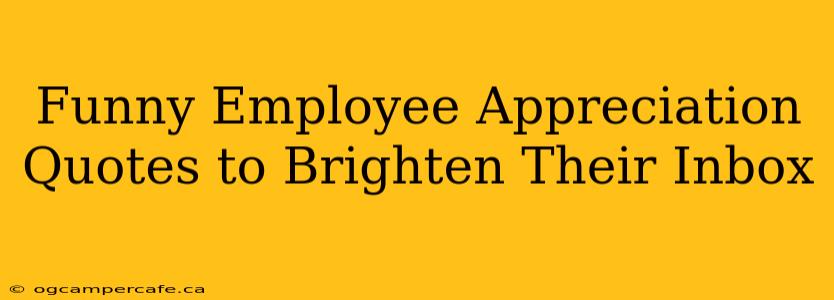 Funny Employee Appreciation Quotes to Brighten Their Inbox