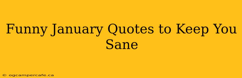 Funny January Quotes to Keep You Sane