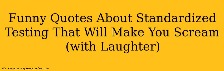 Funny Quotes About Standardized Testing That Will Make You Scream (with Laughter)