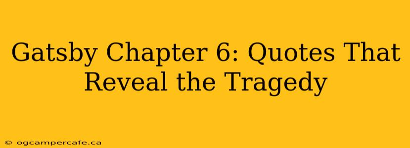 Gatsby Chapter 6: Quotes That Reveal the Tragedy