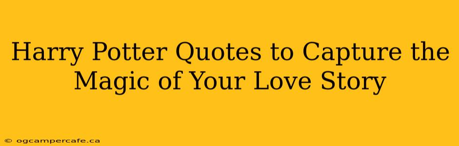 Harry Potter Quotes to Capture the Magic of Your Love Story