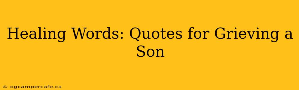 Healing Words: Quotes for Grieving a Son