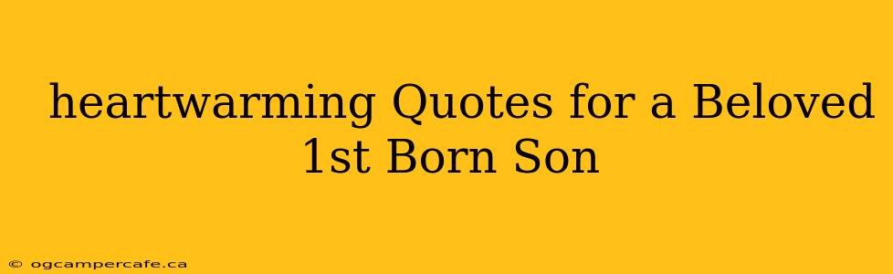  heartwarming Quotes for a Beloved 1st Born Son