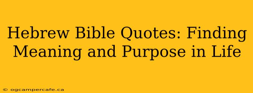 Hebrew Bible Quotes: Finding Meaning and Purpose in Life
