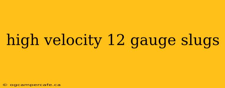 high velocity 12 gauge slugs