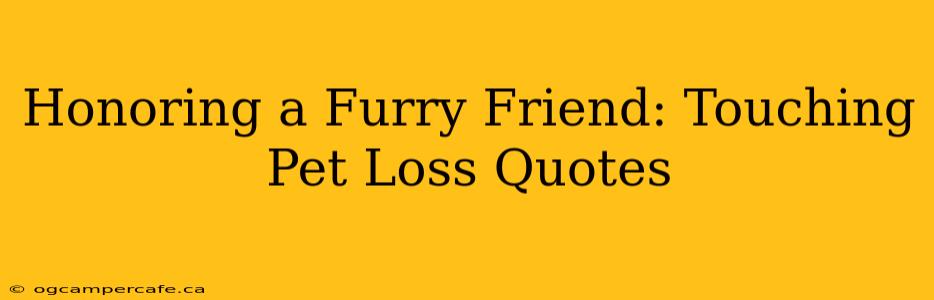 Honoring a Furry Friend: Touching Pet Loss Quotes