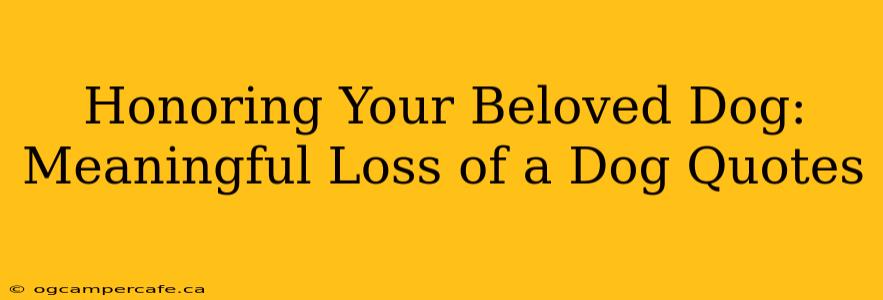 Honoring Your Beloved Dog: Meaningful Loss of a Dog Quotes