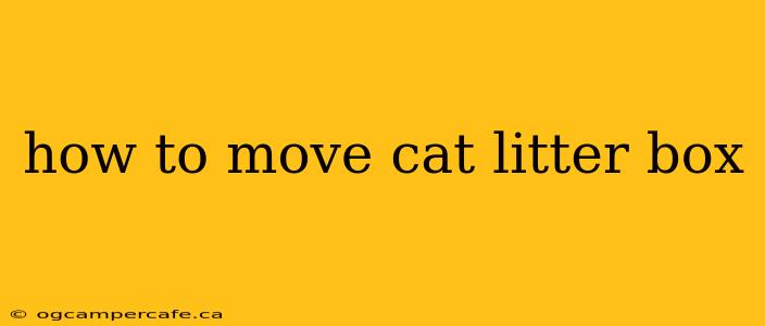 how to move cat litter box