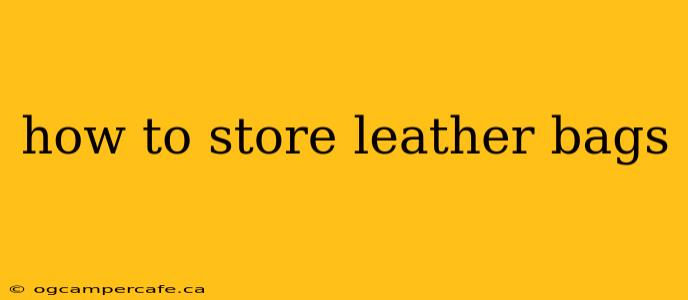 how to store leather bags
