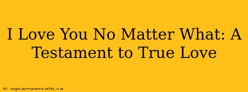 I Love You No Matter What: A Testament to True Love