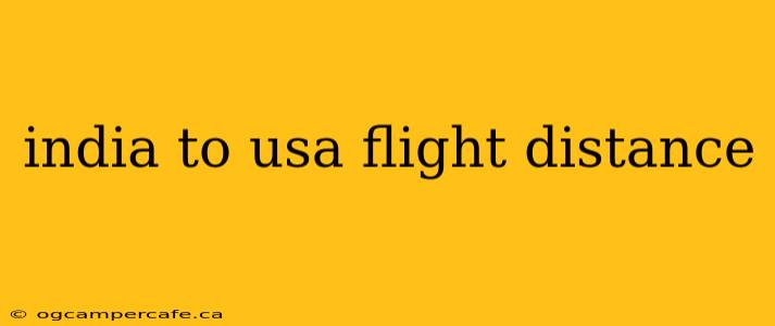 india to usa flight distance
