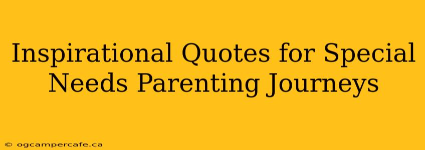 Inspirational Quotes for Special Needs Parenting Journeys