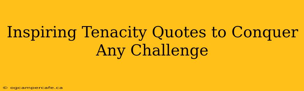 Inspiring Tenacity Quotes to Conquer Any Challenge