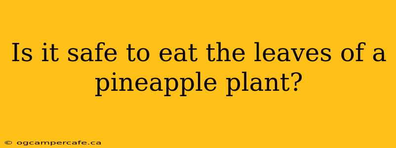 Is it safe to eat the leaves of a pineapple plant?