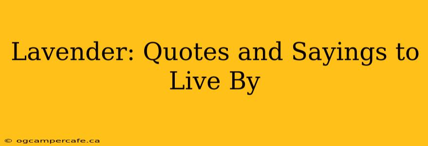 Lavender: Quotes and Sayings to Live By