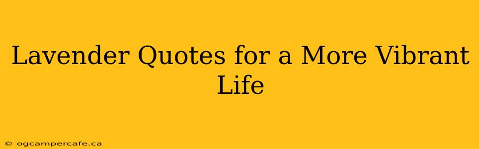Lavender Quotes for a More Vibrant Life