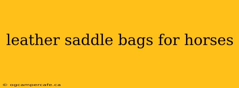 leather saddle bags for horses