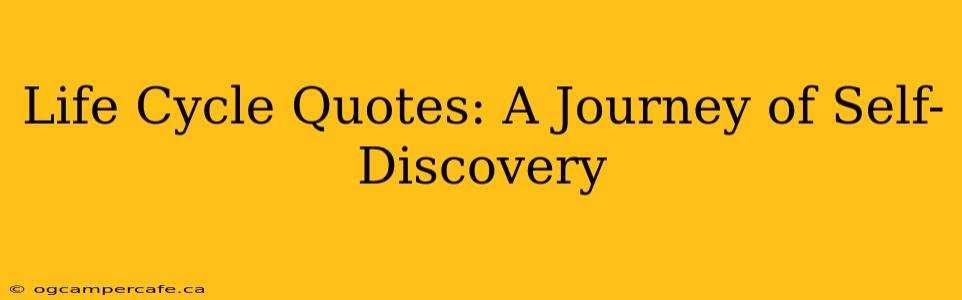 Life Cycle Quotes: A Journey of Self-Discovery
