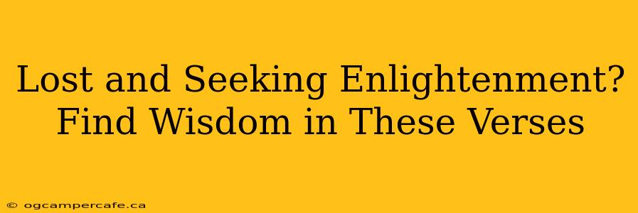 Lost and Seeking Enlightenment? Find Wisdom in These Verses