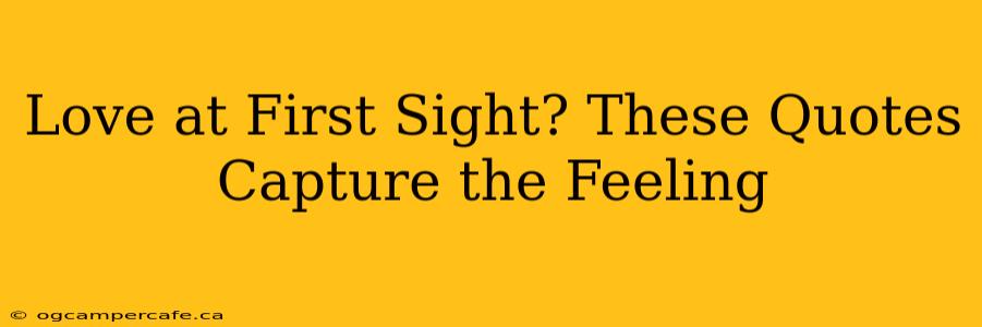 Love at First Sight? These Quotes Capture the Feeling