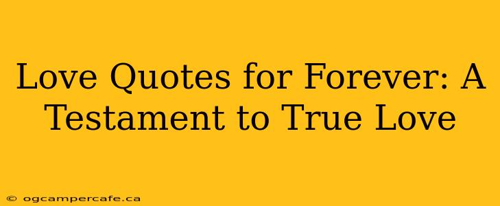 Love Quotes for Forever: A Testament to True Love