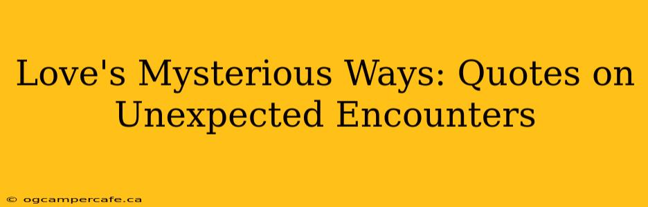 Love's Mysterious Ways: Quotes on Unexpected Encounters