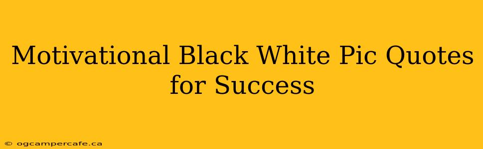 Motivational Black White Pic Quotes for Success