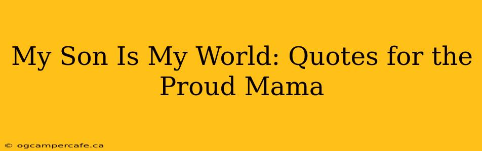 My Son Is My World: Quotes for the Proud Mama