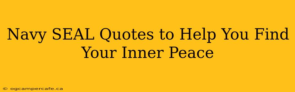 Navy SEAL Quotes to Help You Find Your Inner Peace