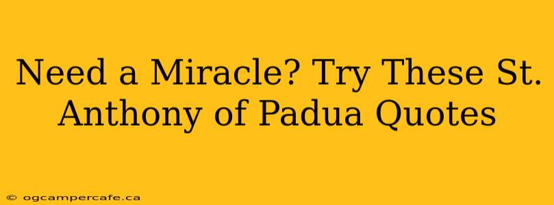 Need a Miracle? Try These St. Anthony of Padua Quotes